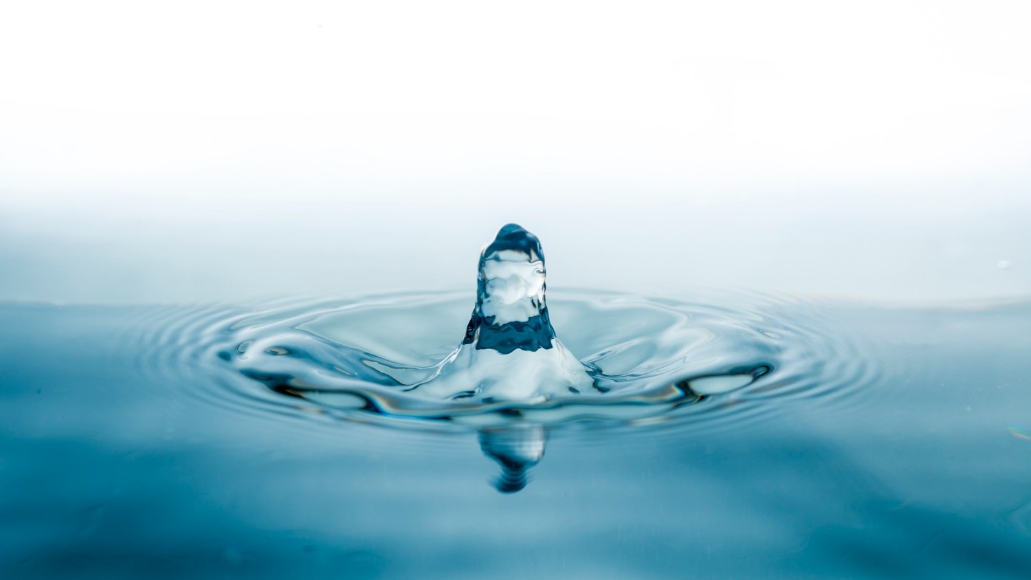 Het element water is een krachtige component in de Feng Shui architectuur. Het heeft het vermogen om te zuiveren